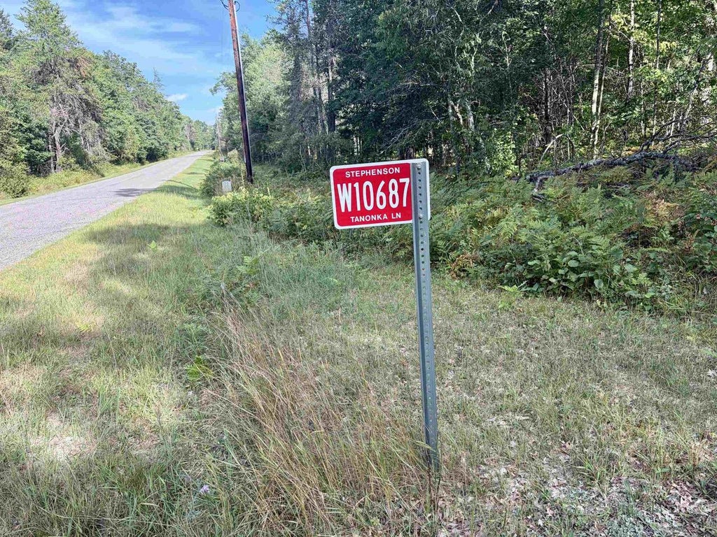 Photo of W10687 Tanonka LANE, Athelstane, WI 54104 (MLS # 50332223)