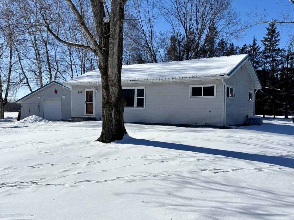 Photo of 333 Western AVENUE, Birnamwood, WI 54414 (MLS # 22600304)