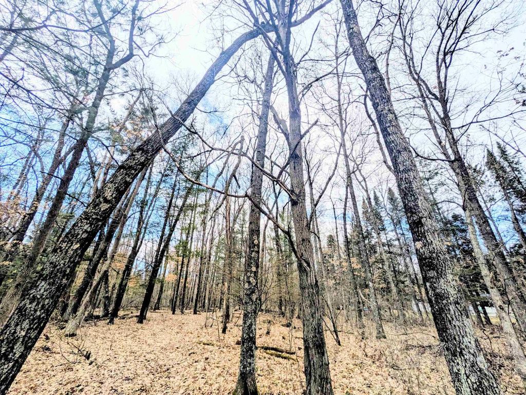 Photo of 0 11th AVENUE, Friendship, WI 53934 (MLS # 2020031)