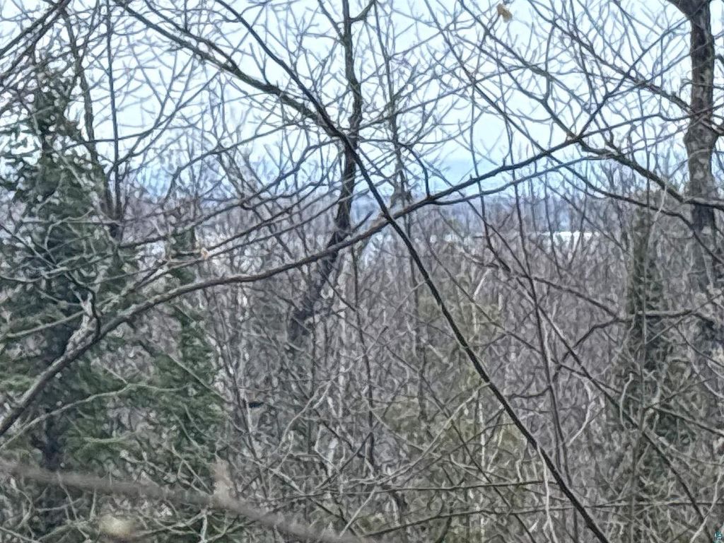 Photo of 36807 County Hwy J, Bayfield, WI 54814 (MLS # 6124662)