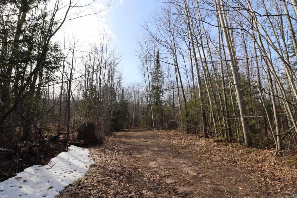 Photo of 36807 County Hwy J, Bayfield, WI 54814 (MLS # 6124662)