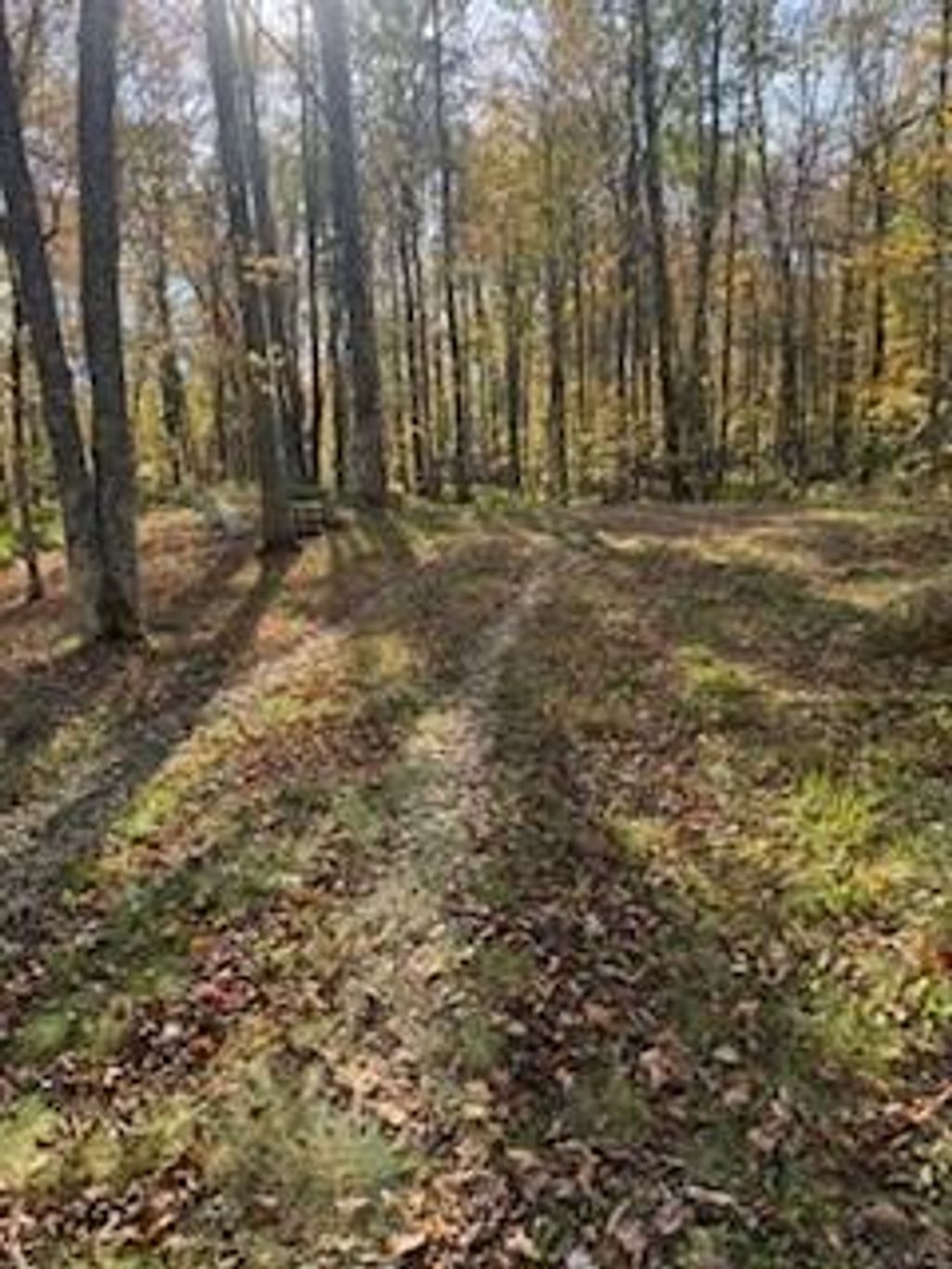 Photo of 2728 28 3/8 STREET, Birchwood, WI 54817 (MLS # 1596203)