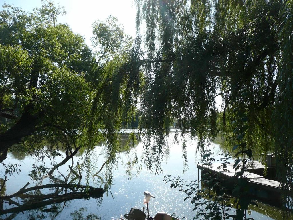 Photo of 505 Dewey AVENUE, Watertown, WI 53094 (MLS # 2019913)