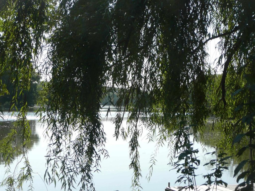 Photo of 505 Dewey AVENUE, Watertown, WI 53094 (MLS # 2019913)