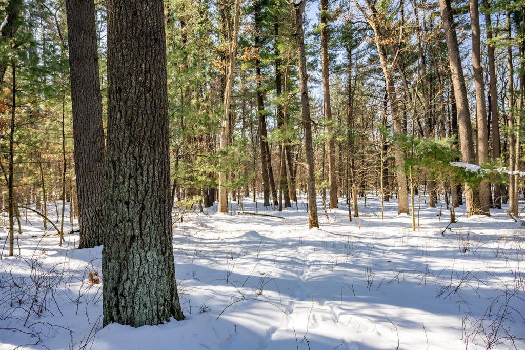 Photo of 3.2 acres County Road C, New Lisbon, WI 53950 (MLS # 2018993)