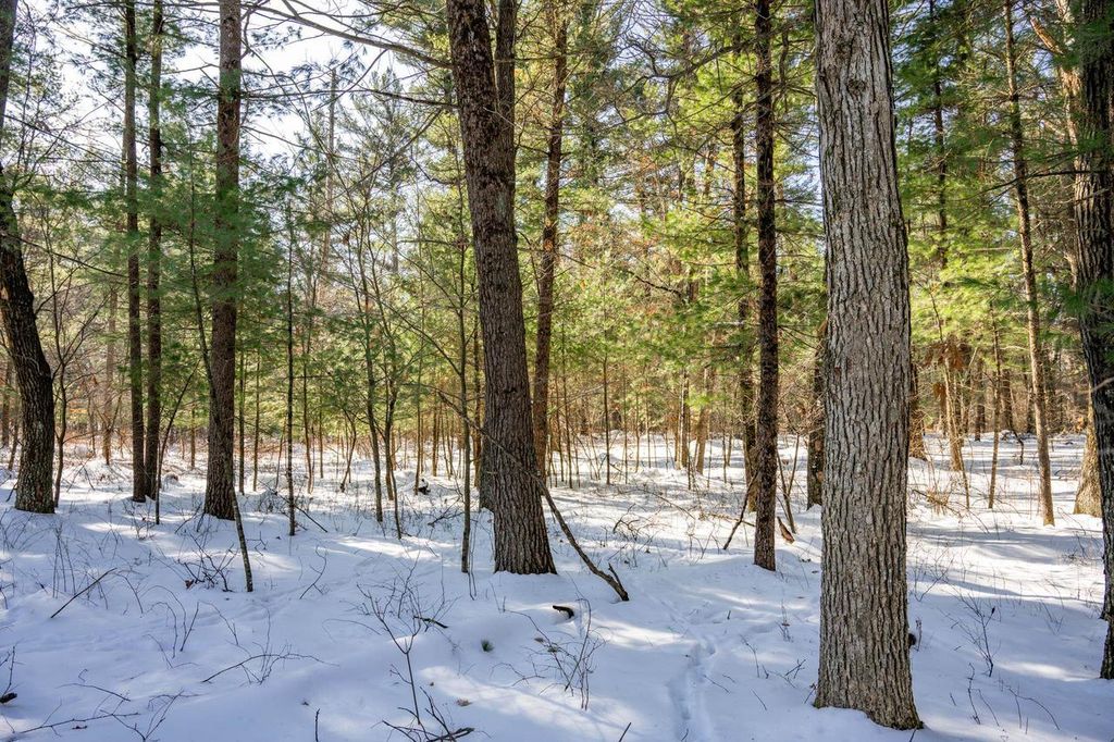Photo of 3.2 acres County Road C, New Lisbon, WI 53950 (MLS # 2018993)