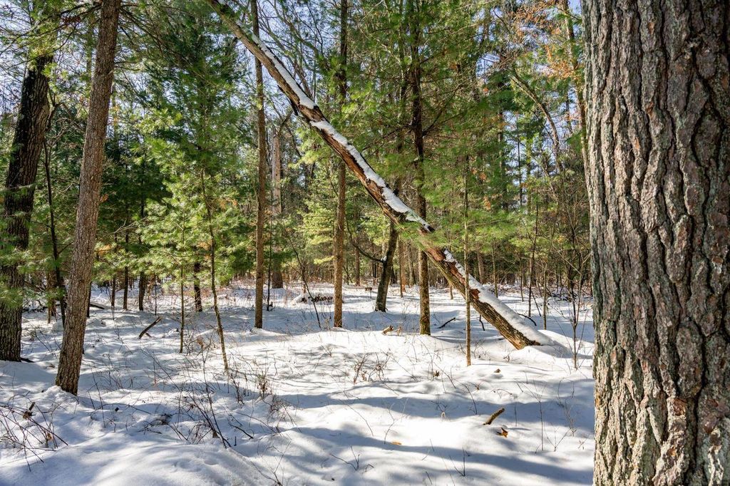 Photo of 3.2 acres County Road C, New Lisbon, WI 53950 (MLS # 2018993)