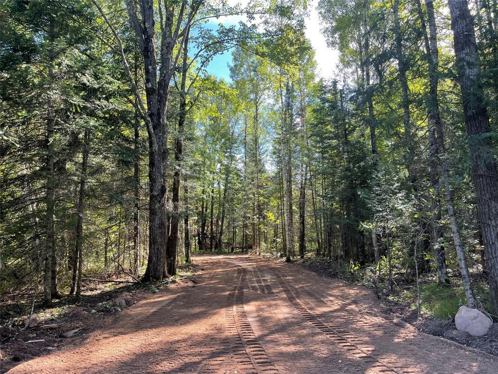 Photo of Lot 2 Fadness ROAD, Winter, WI 54896 (MLS # 1605242)
