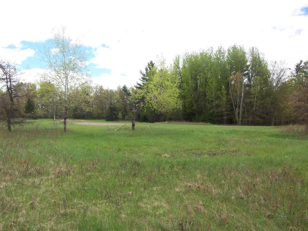 Photo of Kosir LANE, Athelstane, WI 54104 (MLS # 50325933)