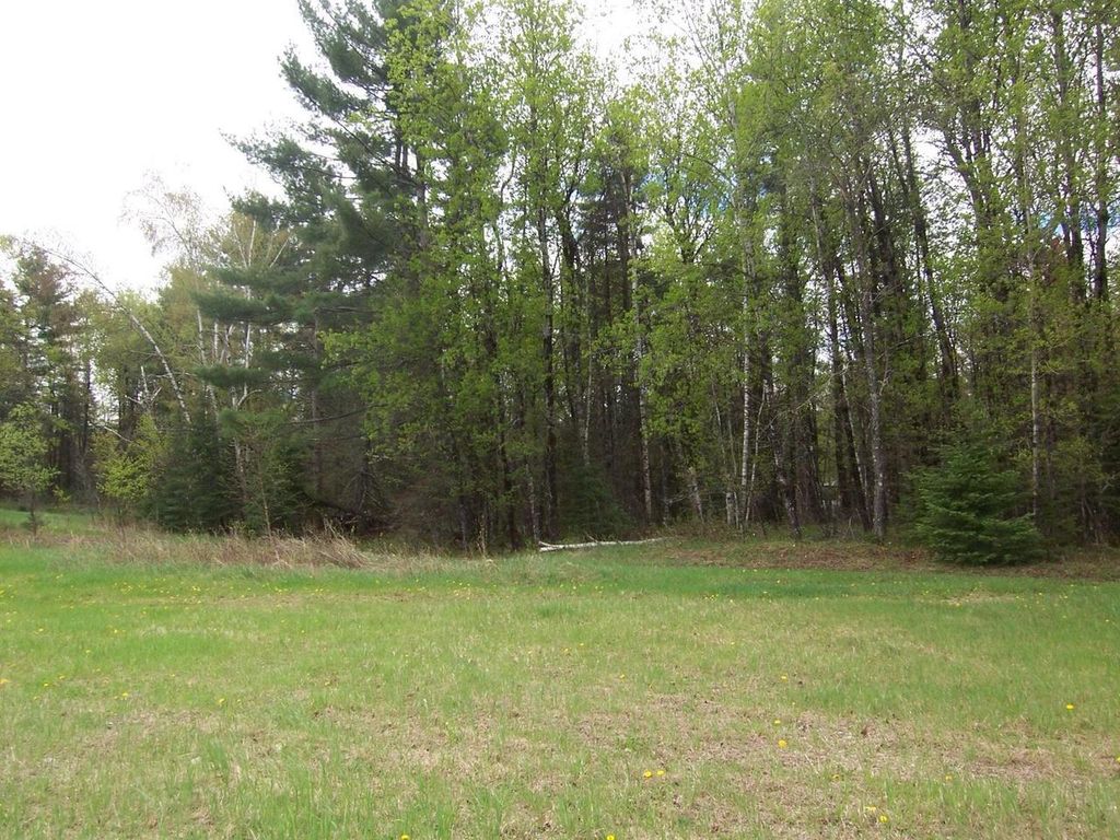 Photo of Kosir LANE, Athelstane, WI 54104 (MLS # 50325933)