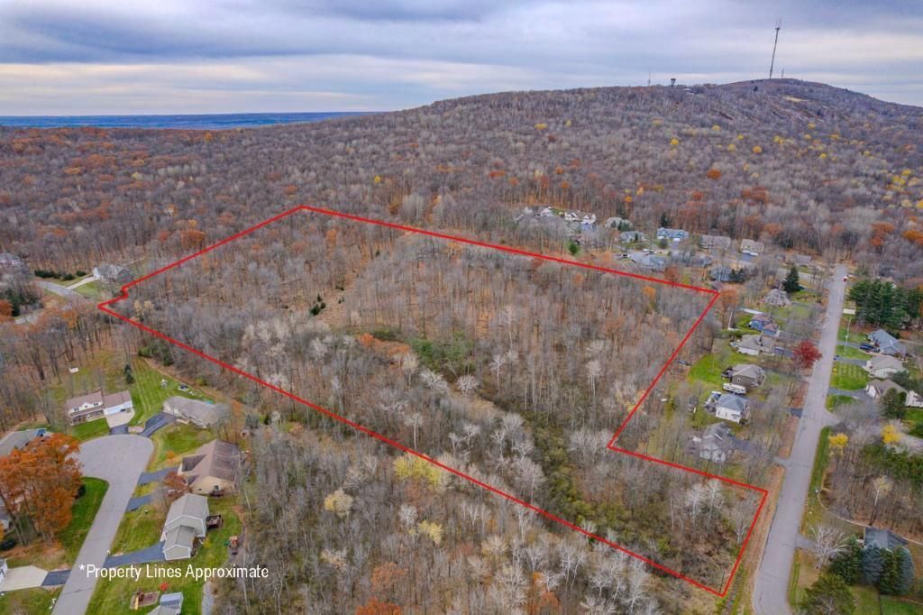 Photo of 17 Acres Snowflake LANE, Wausau, WI 54401 (MLS # 22505603)