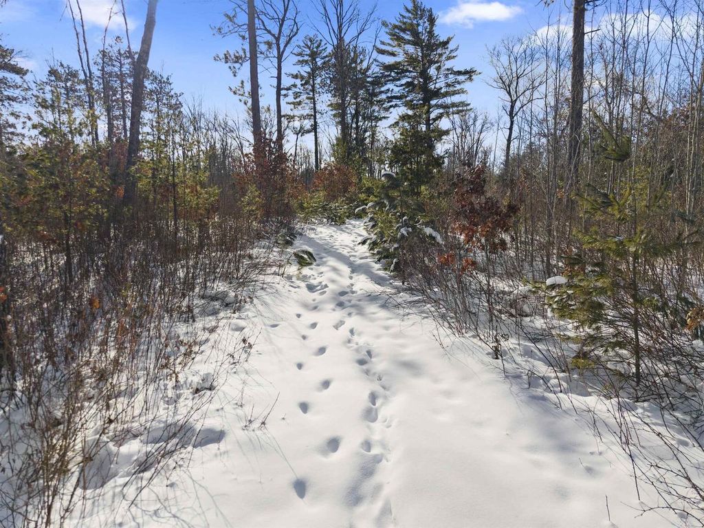 Photo of Meadowbrook LANE, Athelstane, WI 54104 (MLS # 50320202)