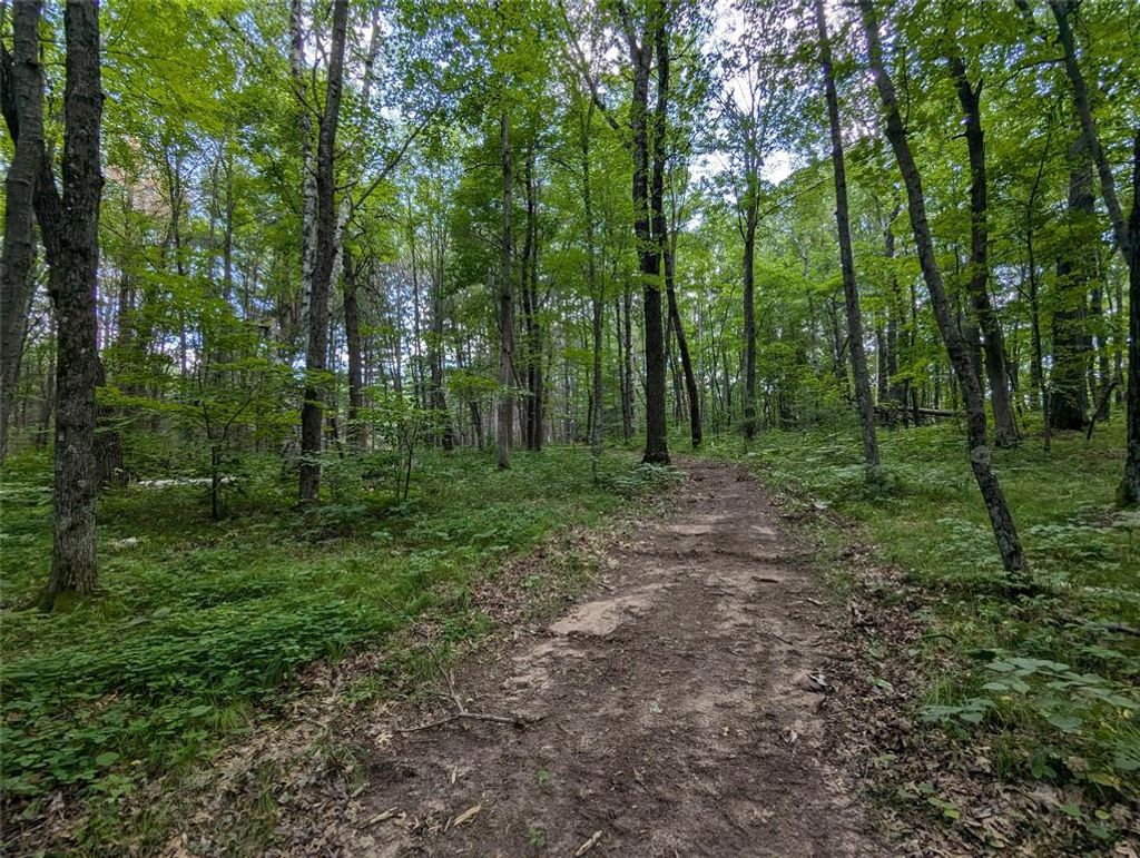 Photo of Lot 2 Fosmo, Webster, WI 54893 (MLS # 1599367)