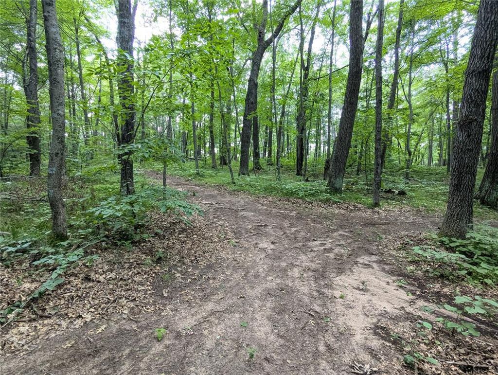 Photo of Lot 2 Fosmo, Webster, WI 54893 (MLS # 1599367)