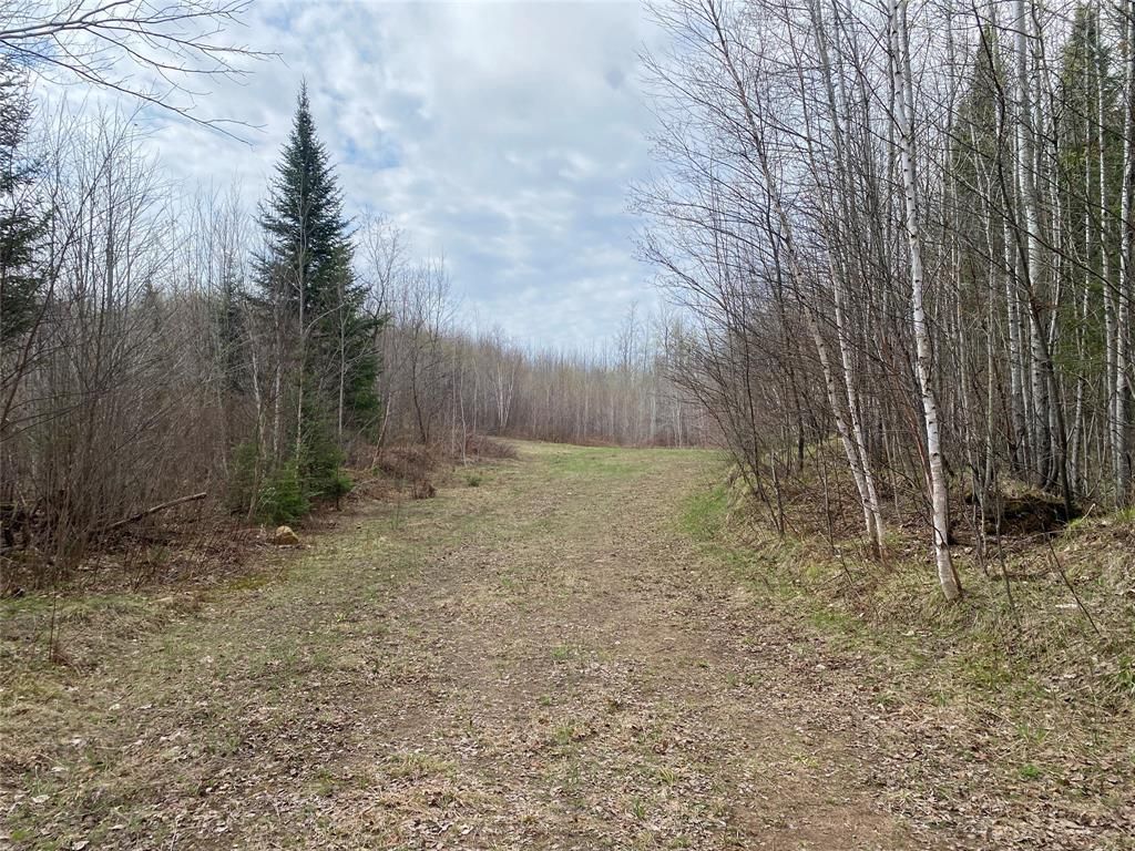 Photo of Near Wilson Lake Road, Phillips, WI 54555 (MLS # 1599326)