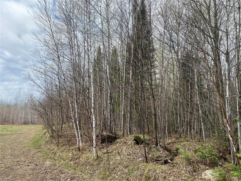 Photo of Near Wilson Lake Road, Phillips, WI 54555 (MLS # 1599326)