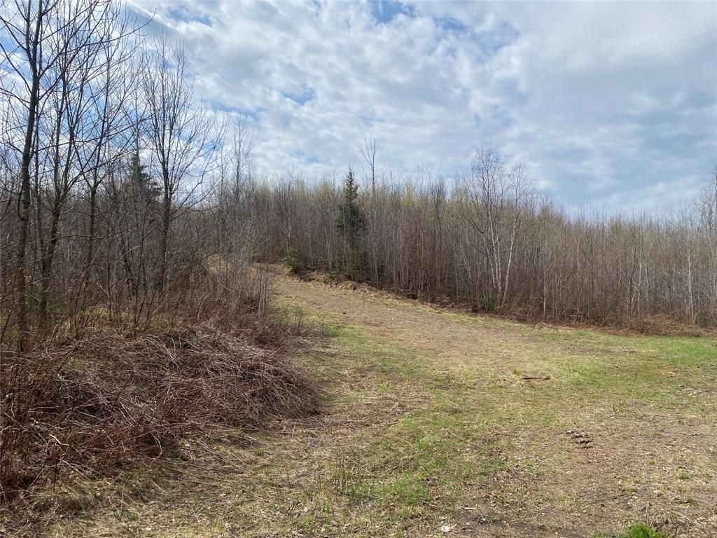 Photo of Near Wilson Lake Road, Phillips, WI 54555 (MLS # 1599326)