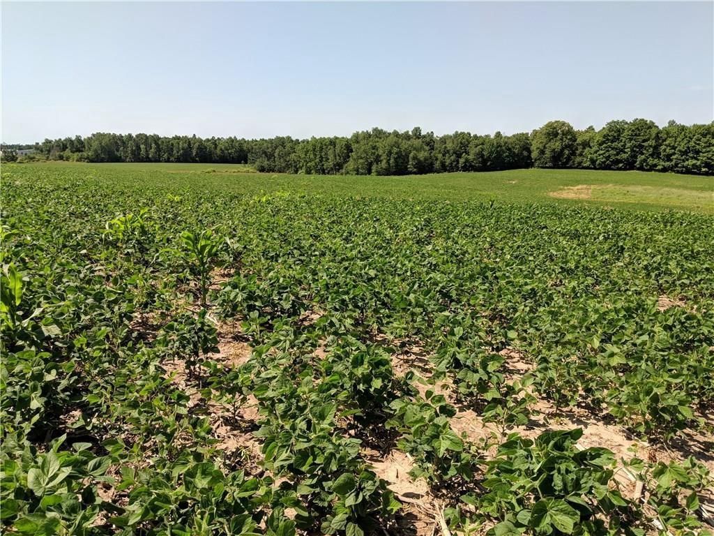 Photo of 40 acres County Rd B West, Glen Flora, WI 52526 (MLS # 1599481)