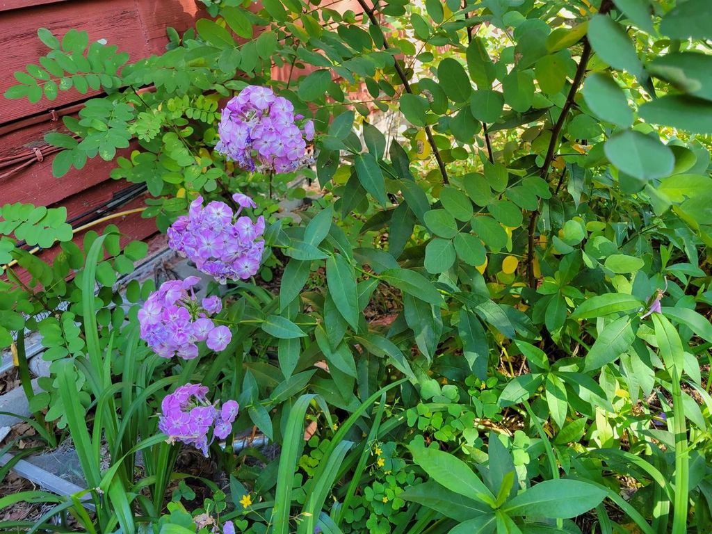 Photo of 1085 Lakeland DRIVE #9-23, Lake Geneva, WI 53147 (MLS # 1944627)