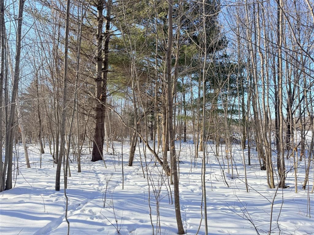 Photo of Lot 1 14 1/2 STREET, Rice Lake, WI 54868 (MLS # 1599169)