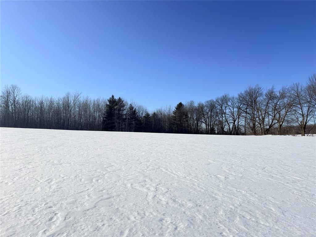 Photo of Lot 1 14 1/2 STREET, Rice Lake, WI 54868 (MLS # 1599169)