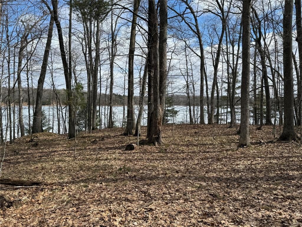 Photo of XXX Ripley Spur ROAD, Sarona, WI 54870 (MLS # 1599430)