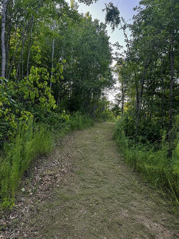 Photo of 9211 Tripp ROAD, Springbrook, WI 54875 (MLS # 1604159)