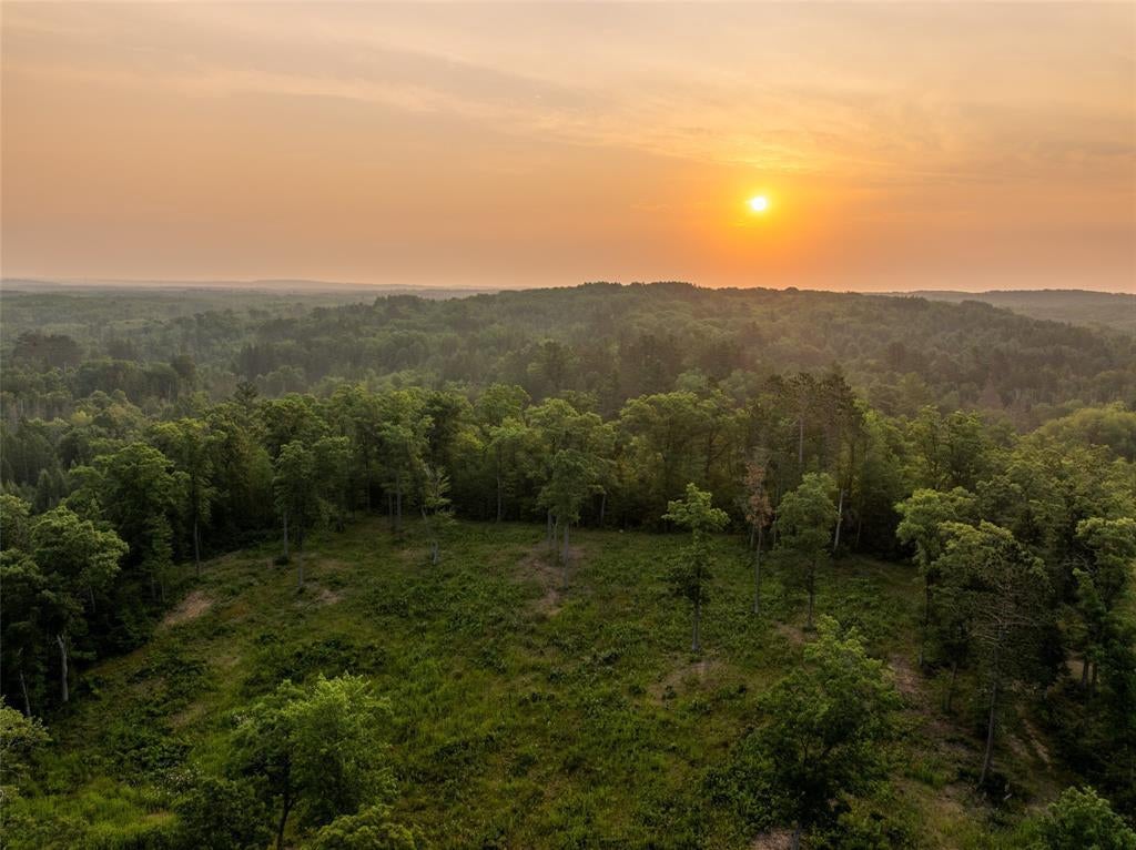 Photo of 9211 Tripp ROAD, Springbrook, WI 54875 (MLS # 1604159)