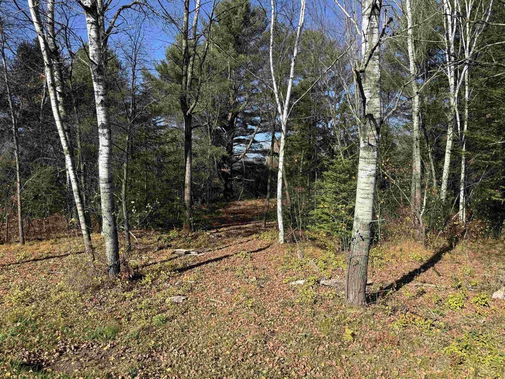 Photo of 0.46 Acres Shorey AVENUE, Weston, WI 54476 (MLS # 22605411)
