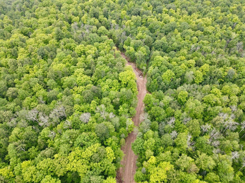 Photo of Lot 3 David ROAD, Gleason, WI 54435 (MLS # 22604371)