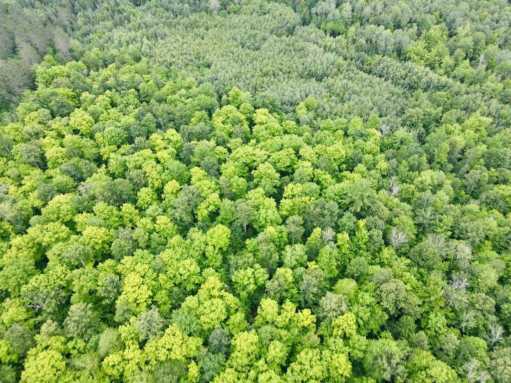 Photo of Lot 3 David ROAD, Gleason, WI 54435 (MLS # 22604371)