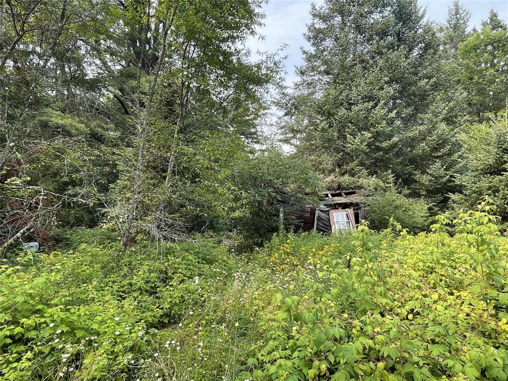 Photo of N14396 Krucky ROAD, Fifield, WI 54524 (MLS # 1604496)