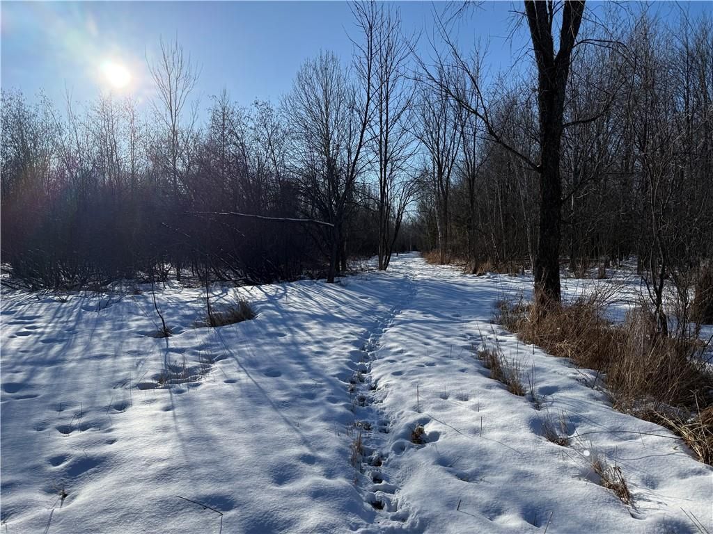 Photo of N8817 Smith DRIVE, Sheldon, WI 54766 (MLS # 1598687)