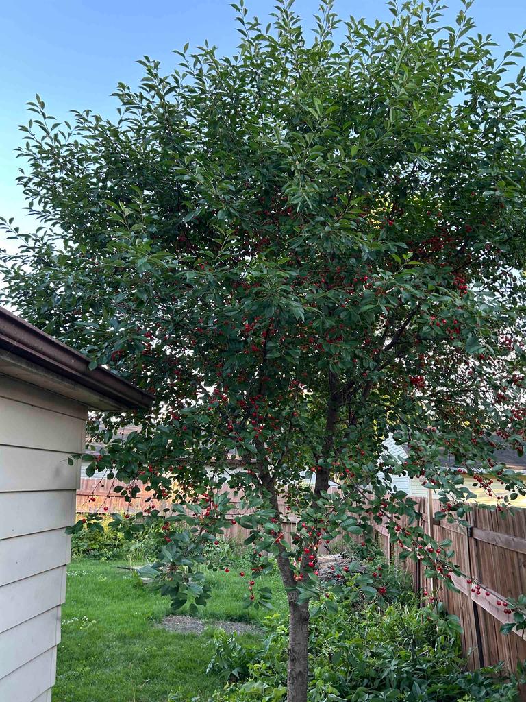 Photo of 833 Eastman STREET, Oshkosh, WI 54901 (MLS # 50334551)