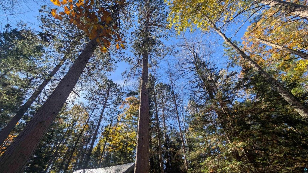 Photo of 83XXX Campbell ROAD, Herbster, WI 54844 (MLS # 6128666)