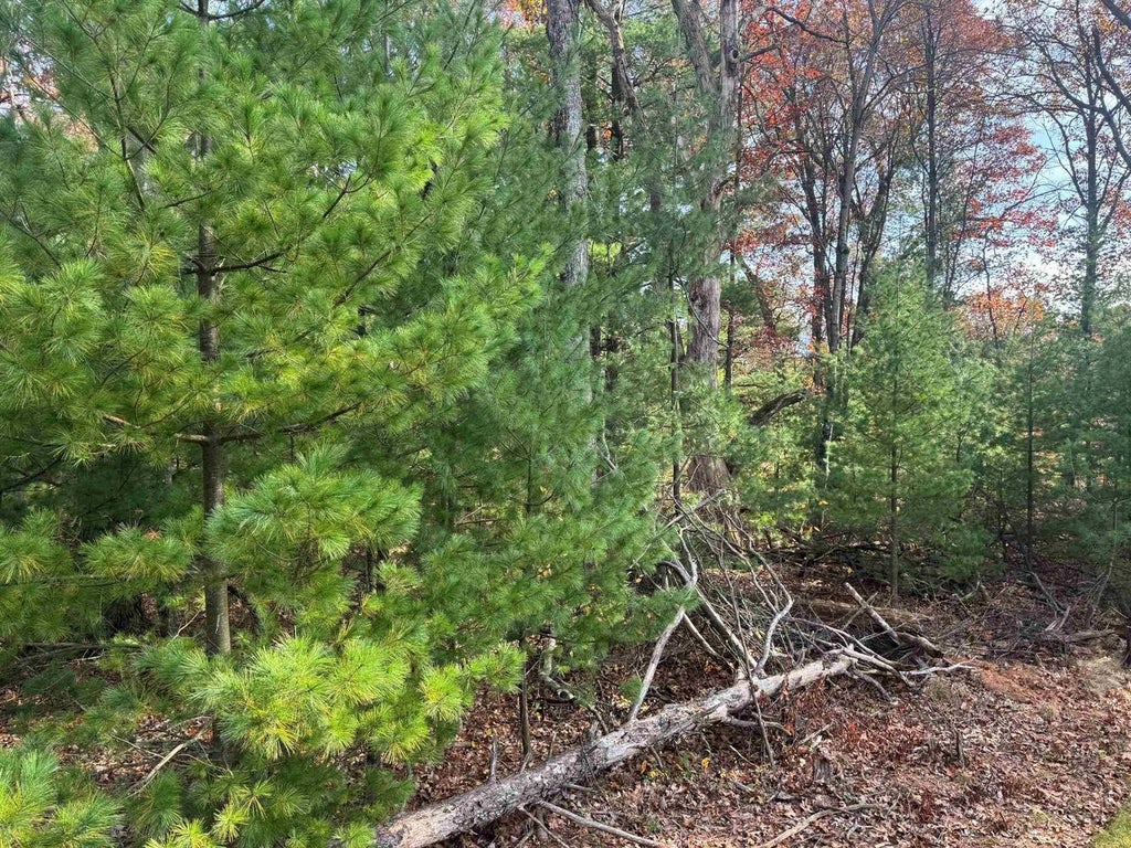 Photo of 312 Pine Meadow COURT, Wisconsin Dells, WI 53940 (MLS # 2035715)