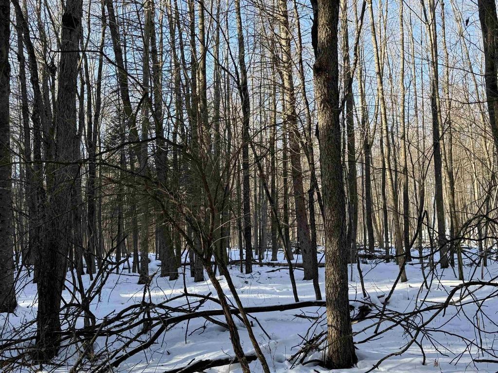 Photo of Kastner ROAD, Tigerton, WI 54486 (MLS # 50319370)