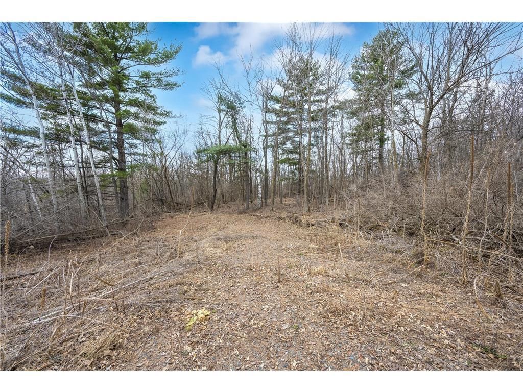 Photo of TBD Hwy 46, Balsam Lake, WI 54810 (MLS # 7054246)