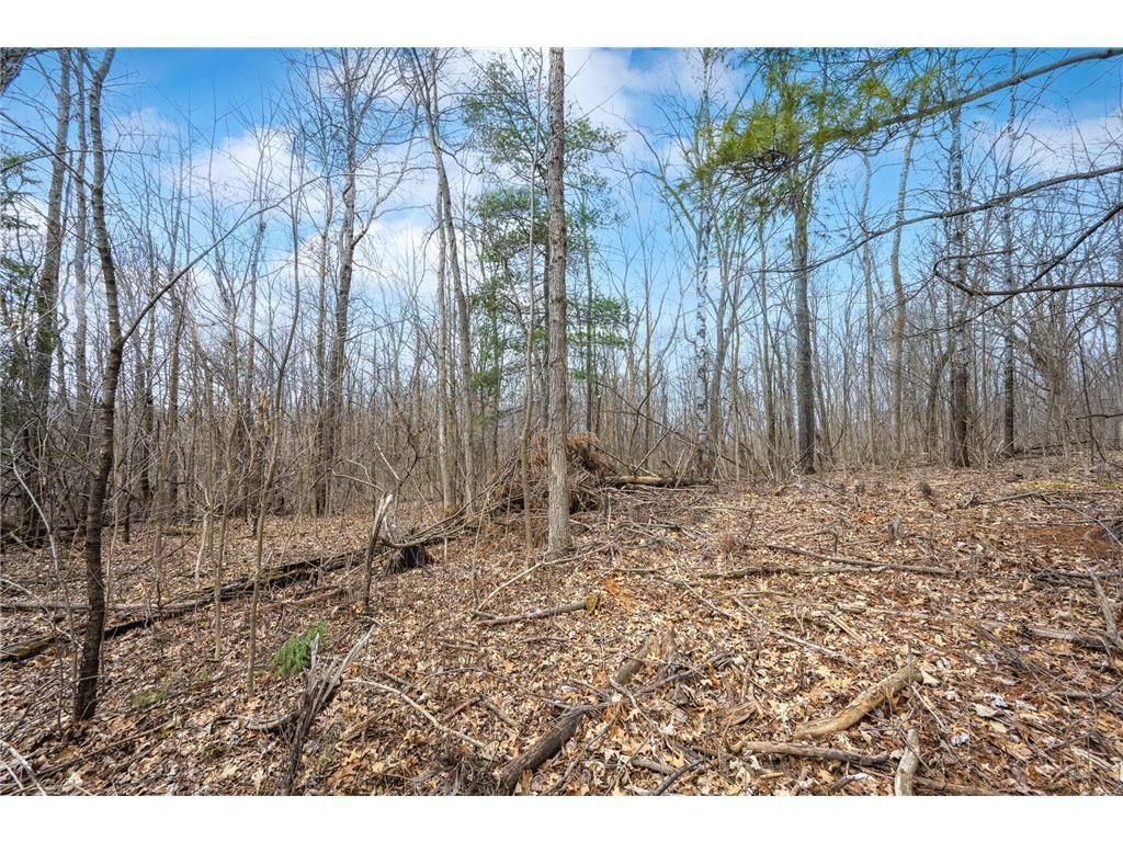 Photo of TBD Hwy 46, Balsam Lake, WI 54810 (MLS # 7054246)