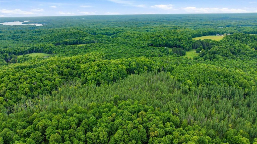 Photo of 018-00101-0000 Brush Creek ROAD, Medford, WI 54451 (MLS # 22604000)