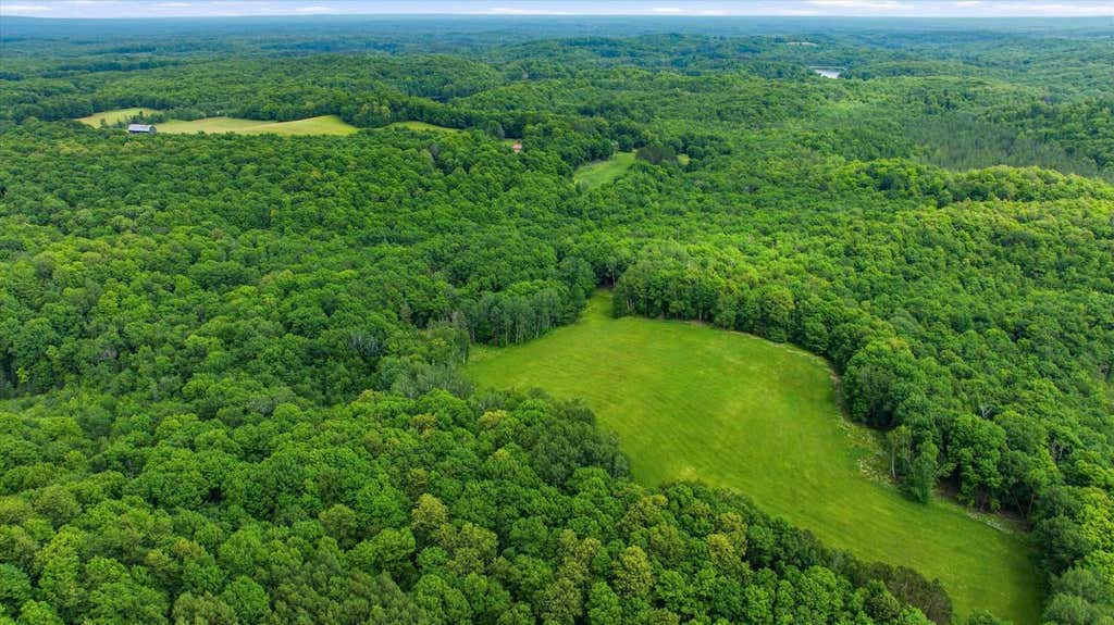 Photo of 018-00101-0000 Brush Creek ROAD, Medford, WI 54451 (MLS # 22604000)