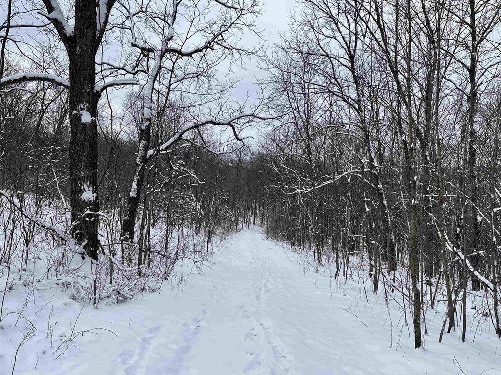 Photo of 79 Acres, Byers Rd, Boscobel, WI 53805 (MLS # 2017006)