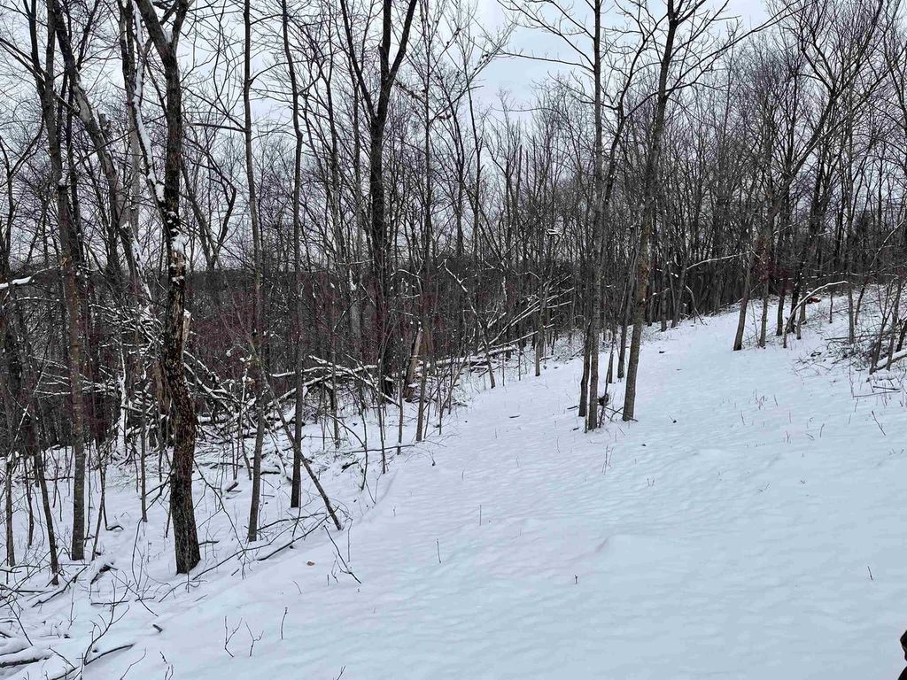 Photo of 79 Acres, Byers Rd, Boscobel, WI 53805 (MLS # 2017006)