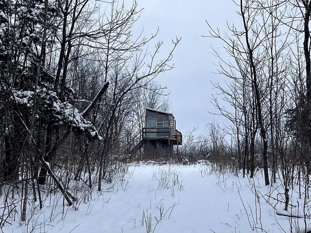 Photo of 79 Acres, Byers Rd, Boscobel, WI 53805 (MLS # 2017006)