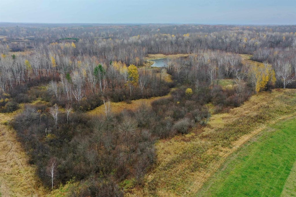 Photo of +/-39.22 Acres 8th AVENUE, Lublin, WI 54447 (MLS # 22605372)
