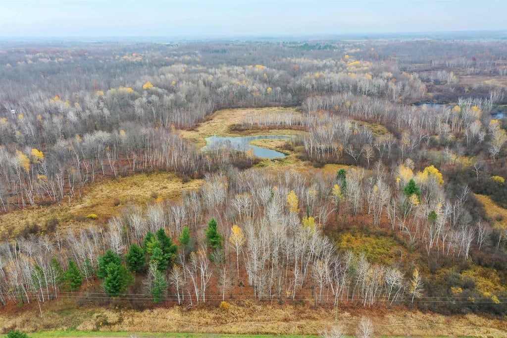 Photo of +/-39.22 Acres 8th AVENUE, Lublin, WI 54447 (MLS # 22605372)