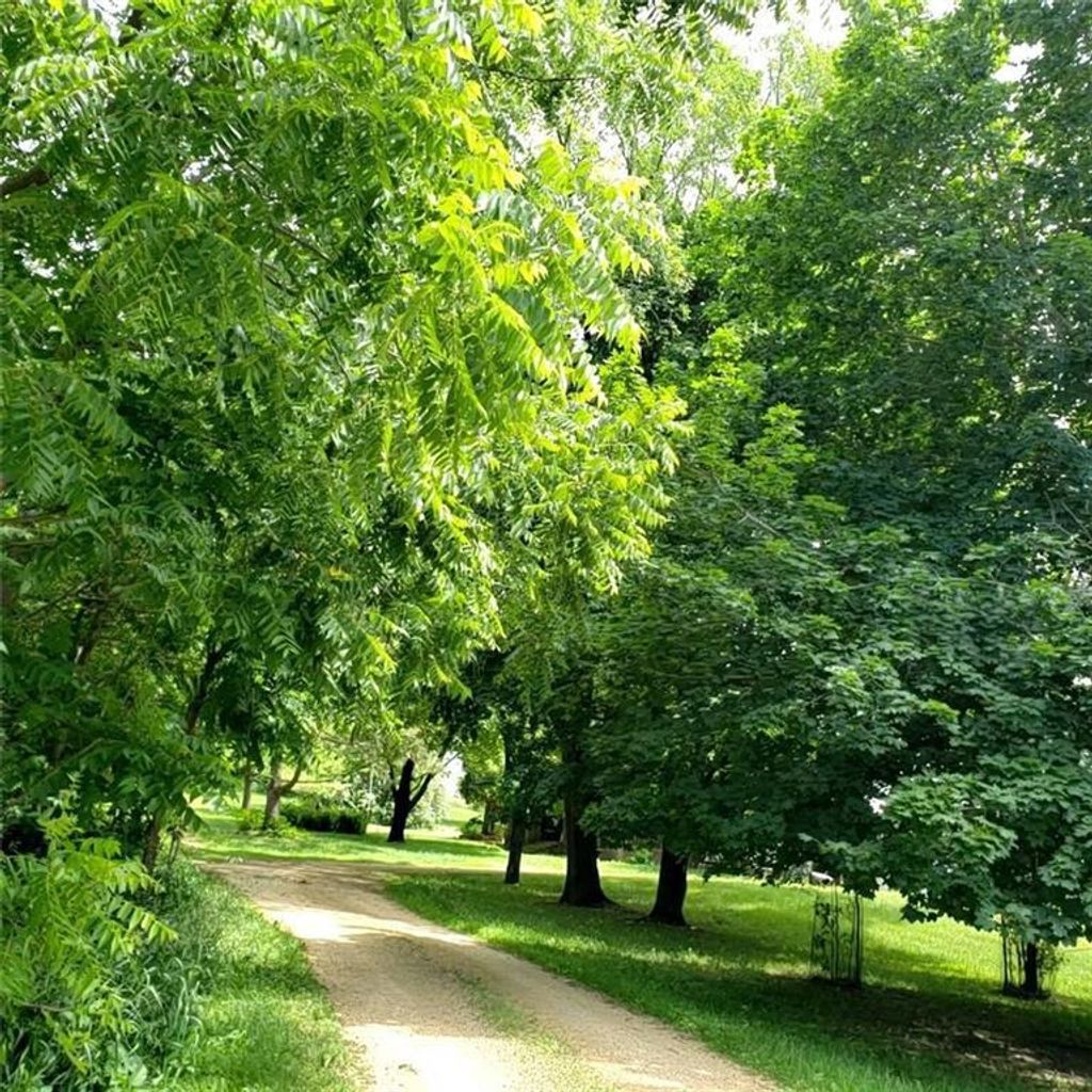 Photo of E6004 510th AVENUE, Menomonie, WI 54751 (MLS # 1597164)