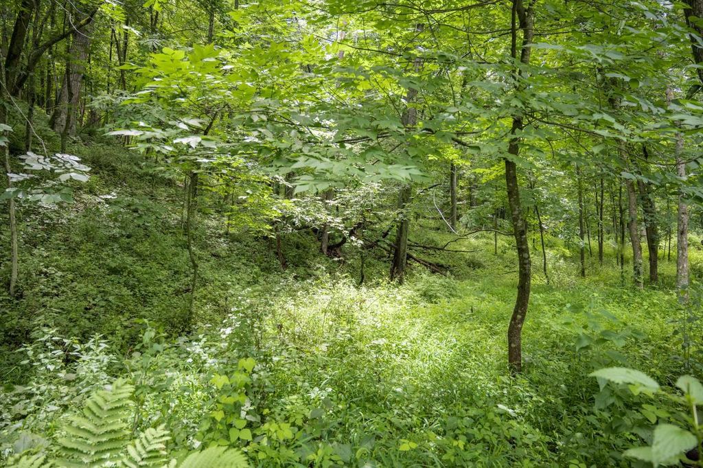 Photo of Lot 971 Tin Cup COURT, La Valle, WI 53941 (MLS # 2027243)