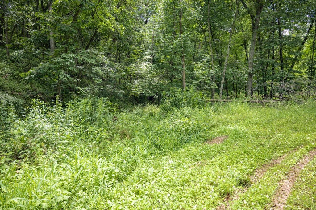 Photo of Lot 971 Tin Cup COURT, La Valle, WI 53941 (MLS # 2027243)