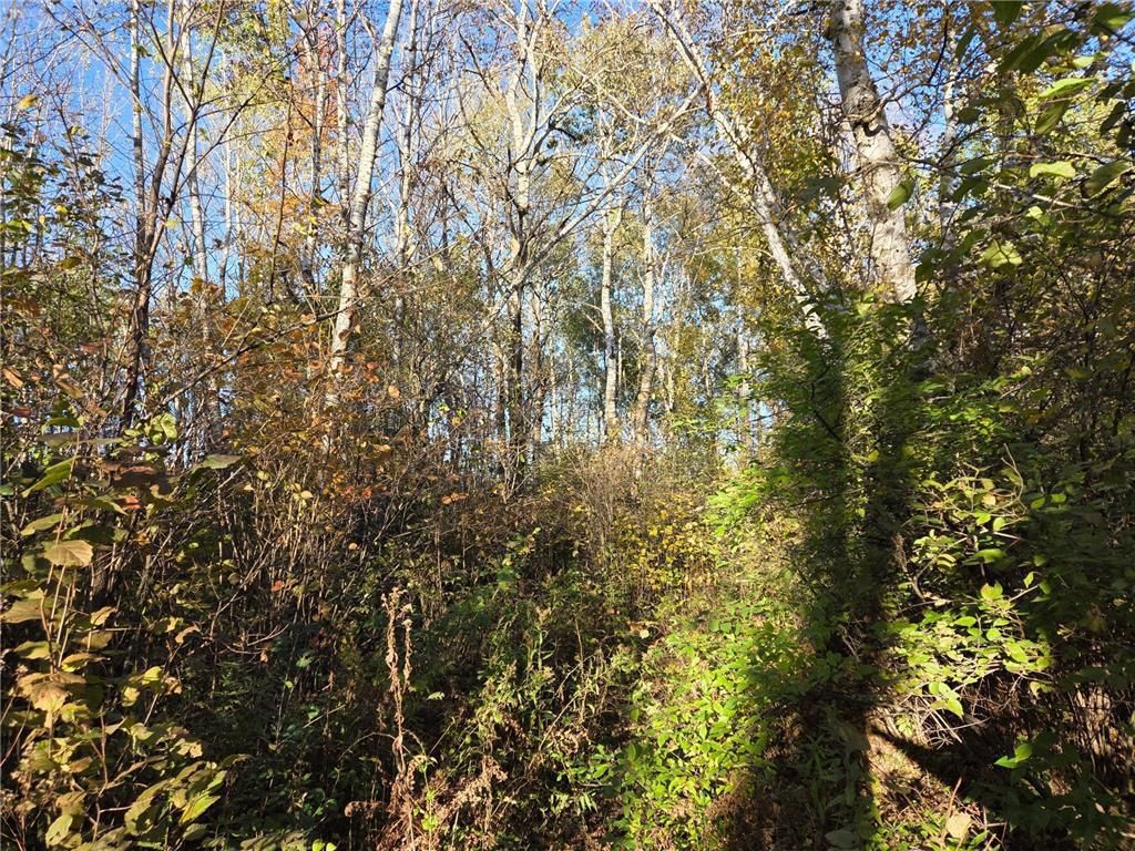 Photo of TBD Intersection of Hwy 48 &amp; Hwy 25, Rice Lake, WI 548, Rice Lake, WI 54868 (MLS # 6808832)